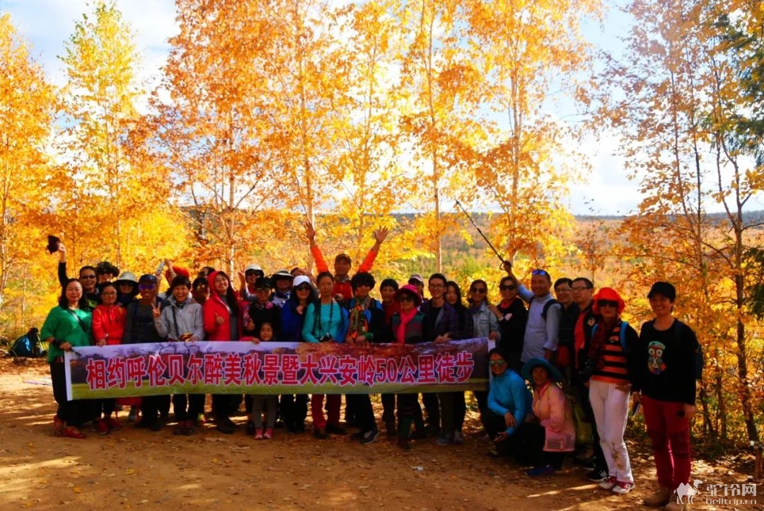 (19)2023年中国大兴安岭最美的秋天徒步50公里活动召集-户外活动图-驼铃网