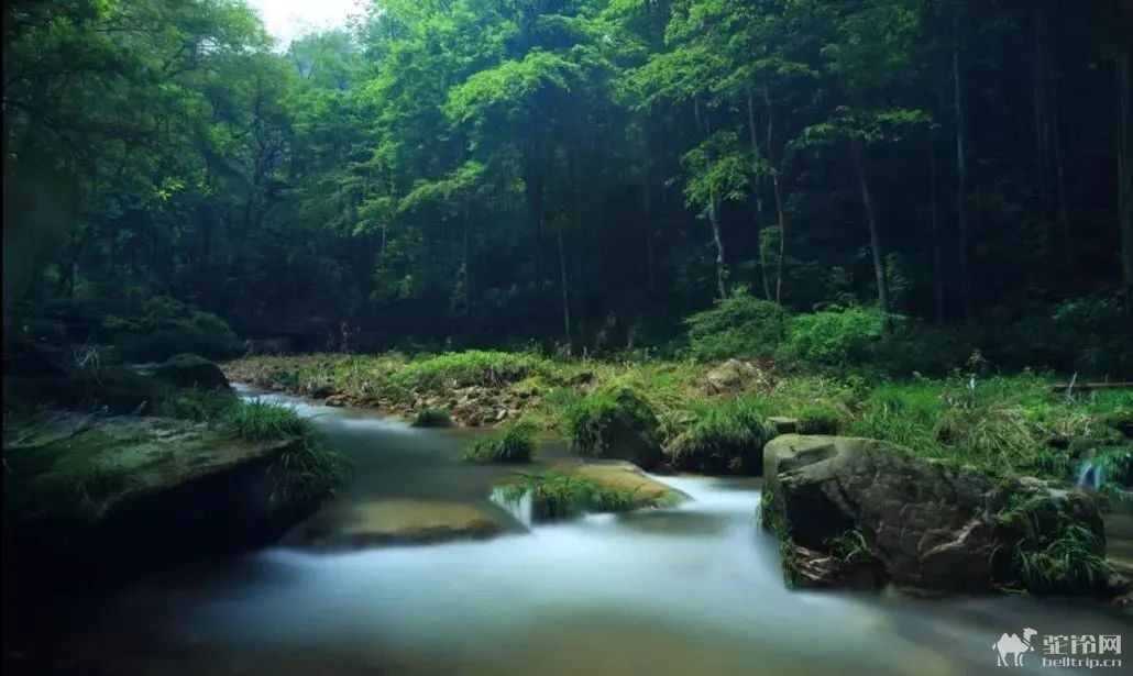 (28)【魅力张家界】 | 湖南张家界森林公园?天门山?土司城?凤凰古城双高5日纯玩深度游（长沙进凤凰出）-户外活动图-驼铃网