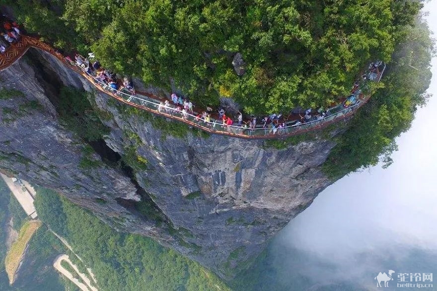 (13)【魅力张家界】 | 湖南张家界森林公园?天门山?土司城?凤凰古城双高5日纯玩深度游（长沙进凤凰出）-户外活动图-驼铃网